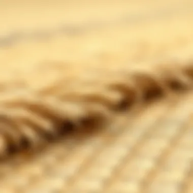 Bamboo Rug Texture and Fibers Close-up of bamboo rug texture and fibers