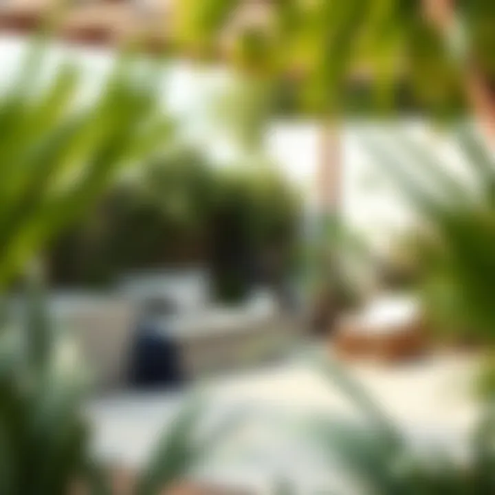 Sleek Minimalist Garden Minimalist garden design with a focus on natural materials and textures