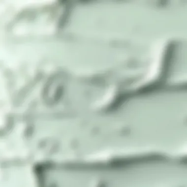 High-Quality Paint Texture Close-up of high-quality paint texture