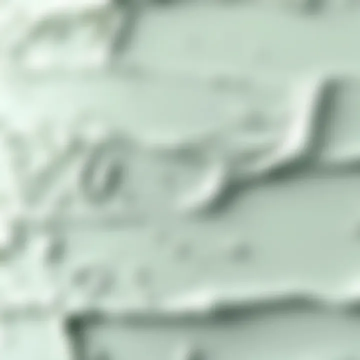 High-Quality Paint Texture Close-up of high-quality paint texture