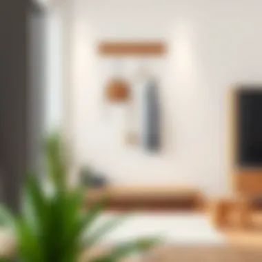 Minimalist wall coat hanger design in a contemporary setting