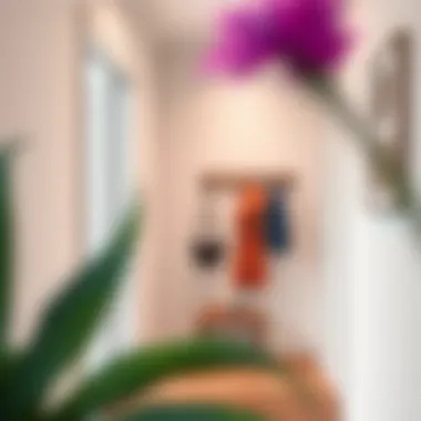 Stylish wall-mounted coat rack in a modern hallway