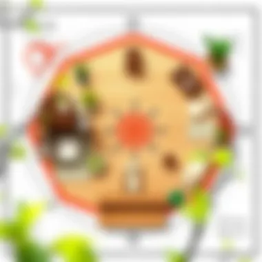 Directional Feng Shui Home Layout Directional map showcasing Feng Shui elements for home layout.