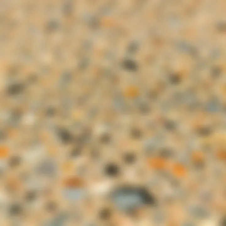 Close-up of granite surface showcasing unique textures
