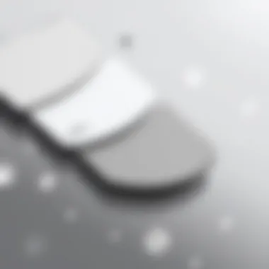 Color Palette of Silver Gray Shades A palette showcasing various shades of silver gray.