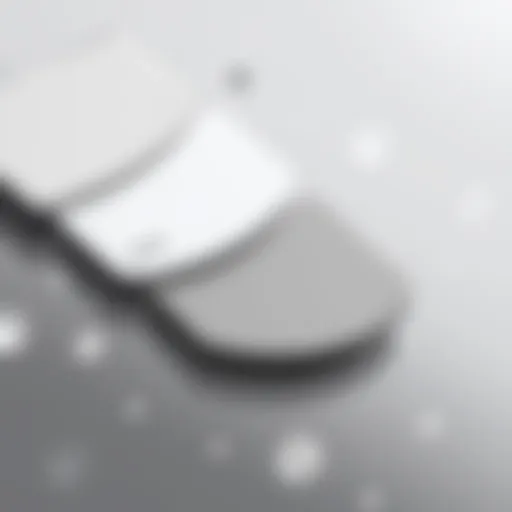 Color Palette of Silver Gray Shades A palette showcasing various shades of silver gray.