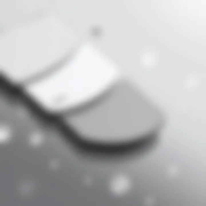 Color Palette of Silver Gray Shades A palette showcasing various shades of silver gray.