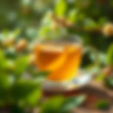 Health benefits of linden tea illustrated