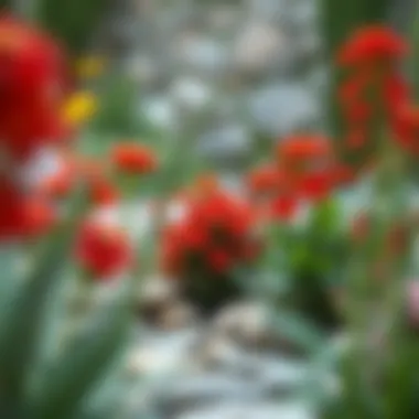 Red flowering plants enhancing a landscape design