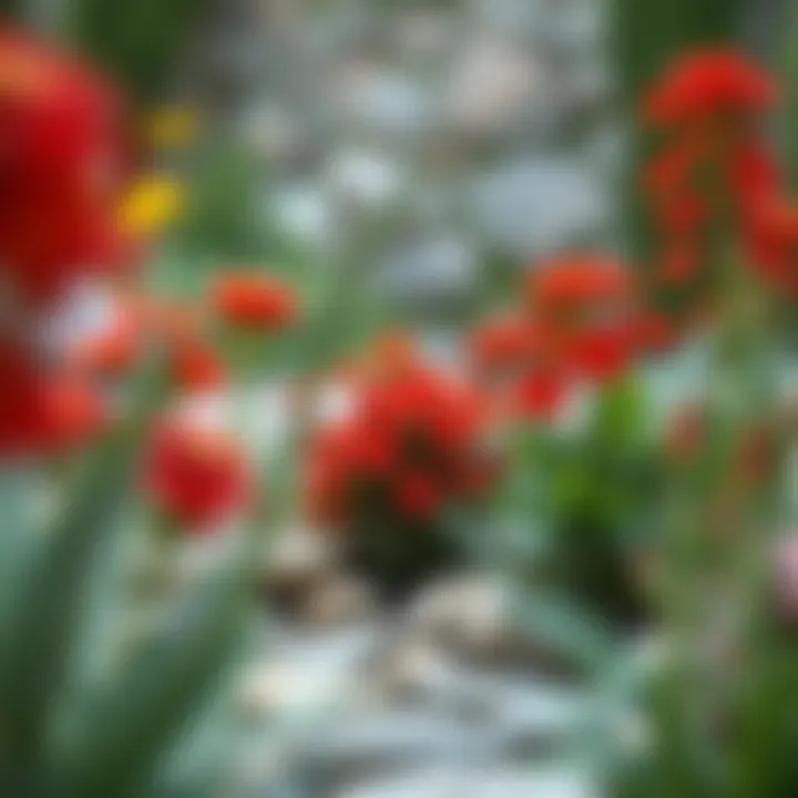 Red flowering plants enhancing a landscape design