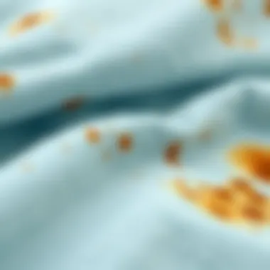 Different Fabric Types with Tea Stains Different fabric types with tea stains