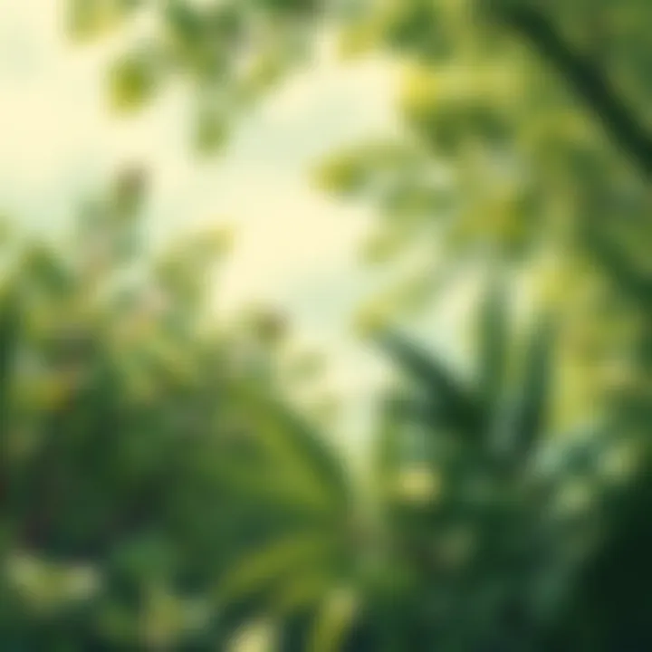 Tranquil Nature with Green Tones A tranquil nature scene showcasing various green tones in foliage