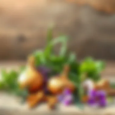 Fragrant Herbs to Banish Onion Smell A collection of fragrant herbs used for freshening