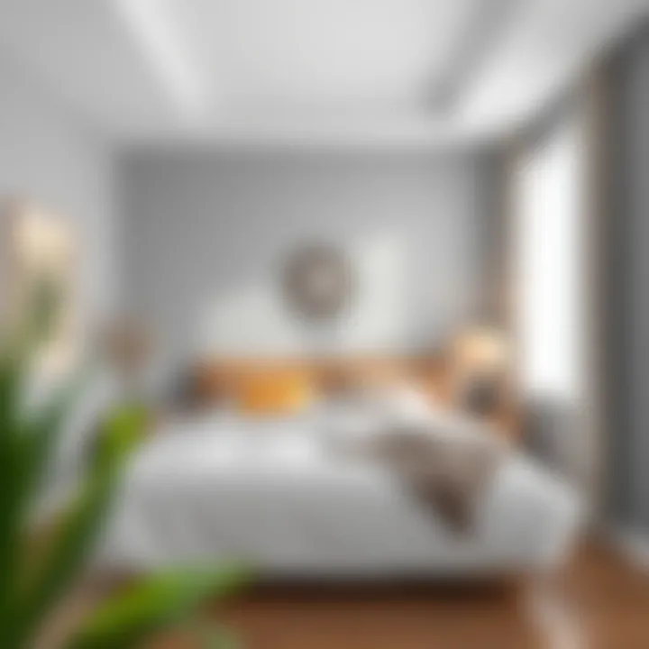 Stylish decorative elements enhancing the aesthetic of a rectangular bedroom