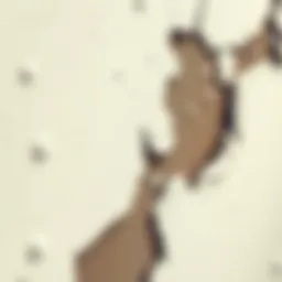 A close-up view of damp walls with visible moisture marks