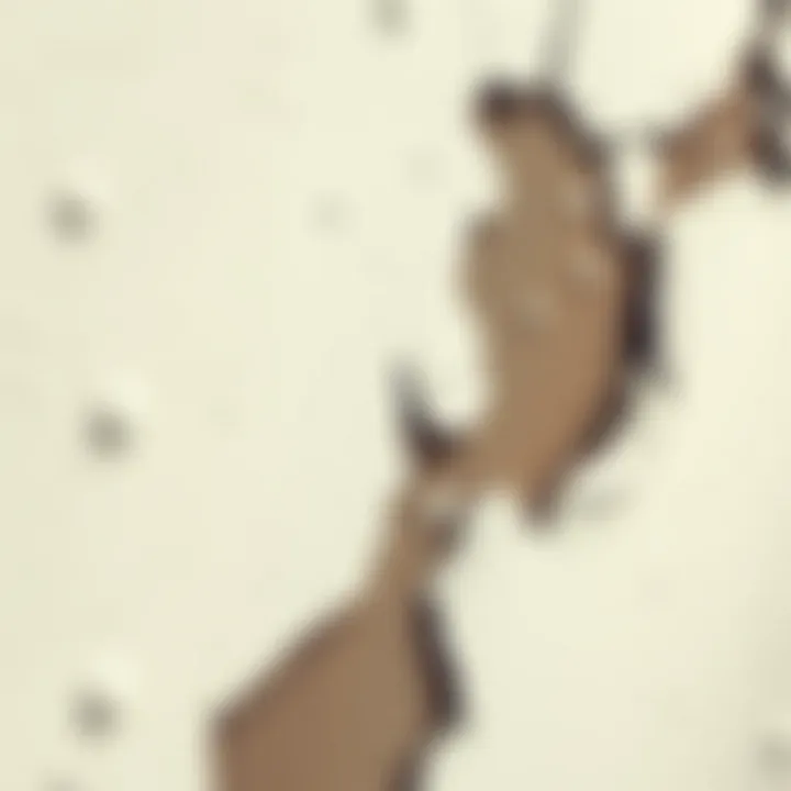 Damp Walls Overview A close-up view of damp walls with visible moisture marks