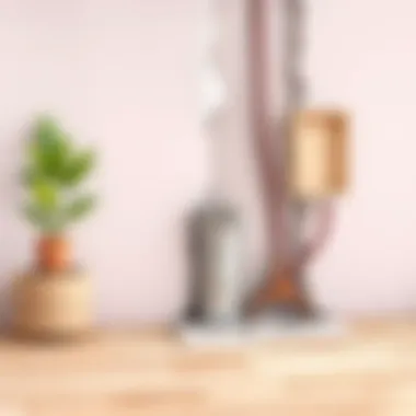 Preventive Measures Against Dampness Illustration of preventive measures against wall dampness