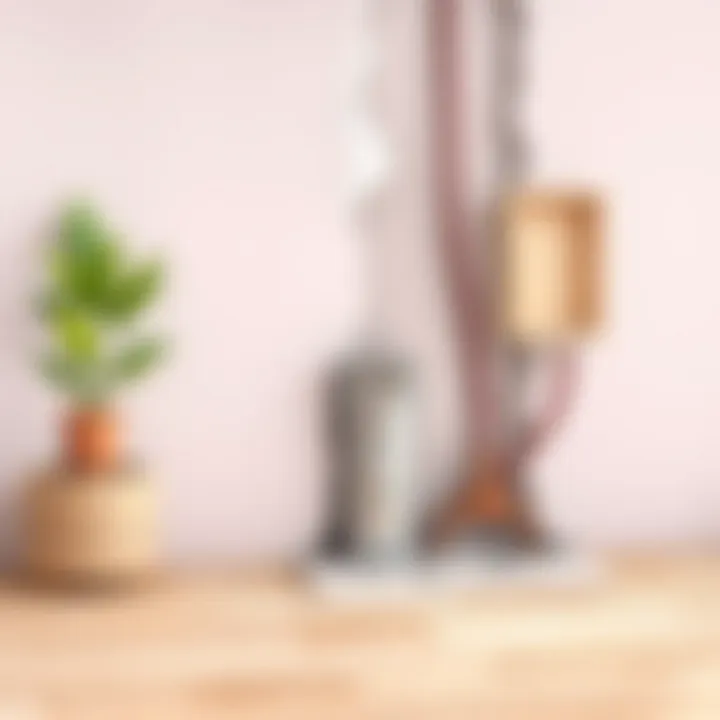 Preventive Measures Against Dampness Illustration of preventive measures against wall dampness