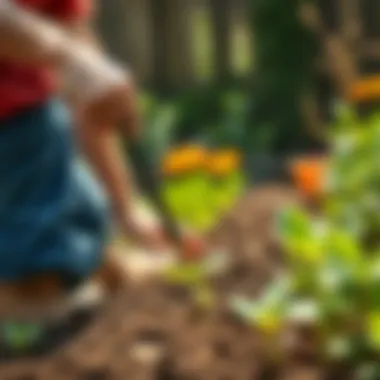 A gardener examining soil texture and quality