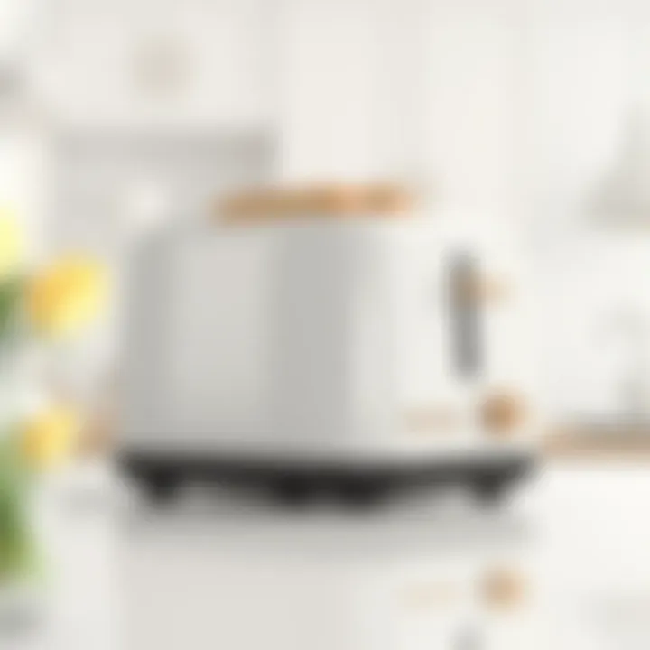 Elegant Electric Toaster Design Sleek electric toaster design