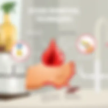 Stain Removal Techniques Overview A detailed diagram illustrating stain removal techniques