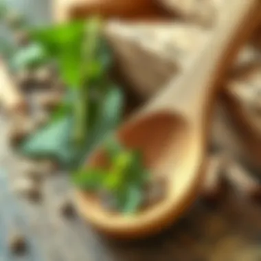 Maintained Wooden Spoon with Herbs A well-maintained wooden spoon alongside herbs and spices