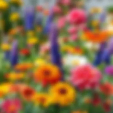 Vibrant flowers in a garden showcasing year-round blooming plants