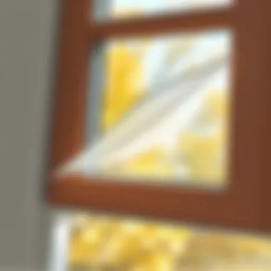 Close-up of adhesive mesh installation on a window